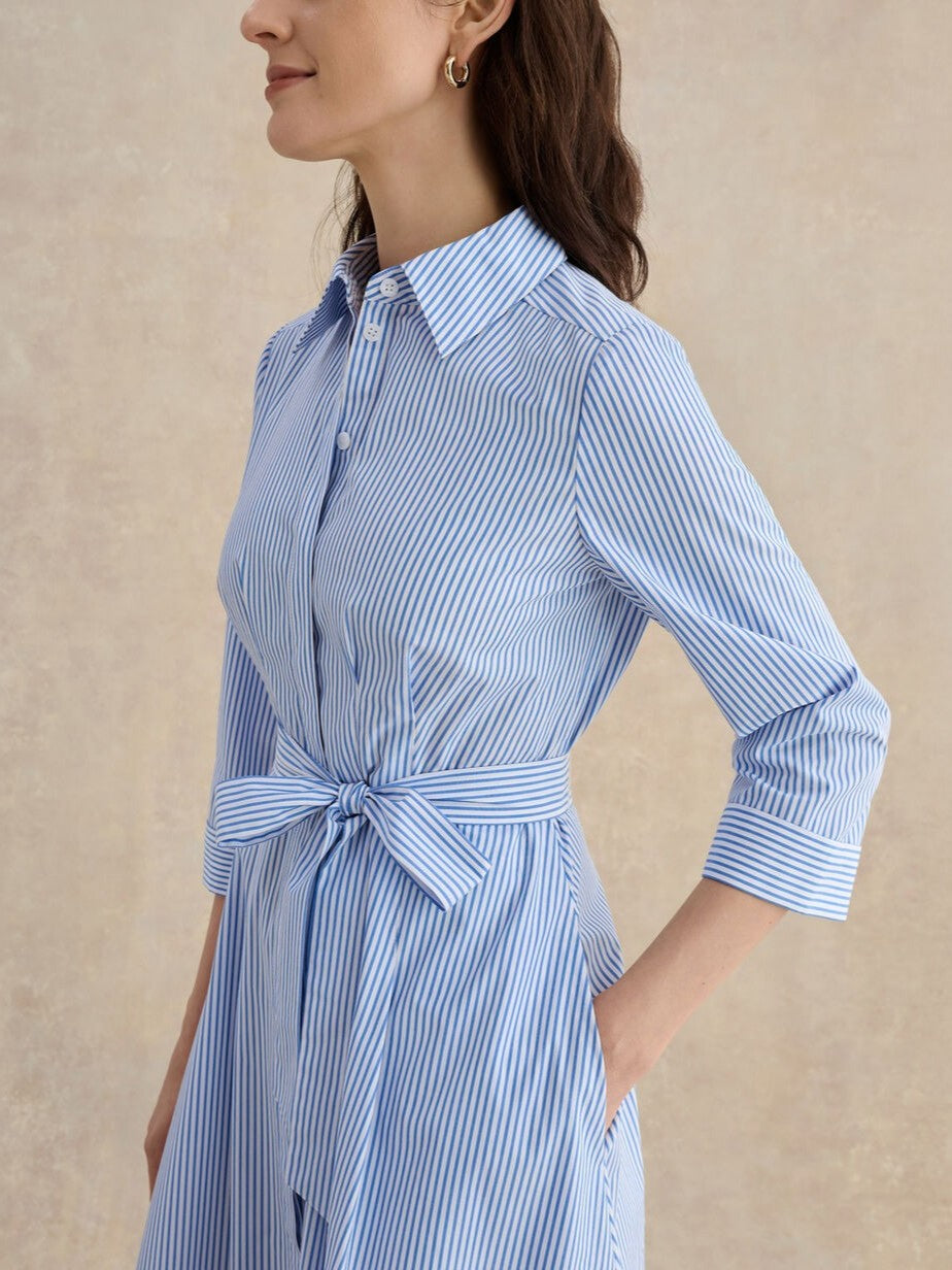 Jane Shirt Stripe Dress