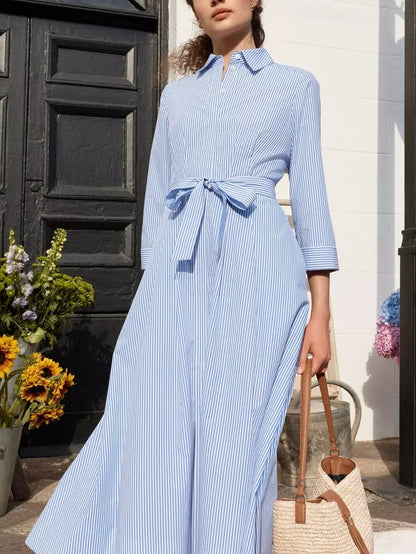 Jane Shirt Stripe Dress